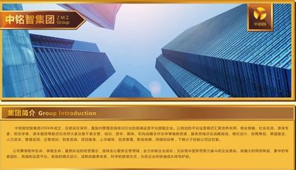 中銘智控股（深圳） 專業(yè)投資管理咨詢服務(wù)解析